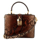 Dolce & Gabbana Exotic Python Leather Shoulder Box Bag