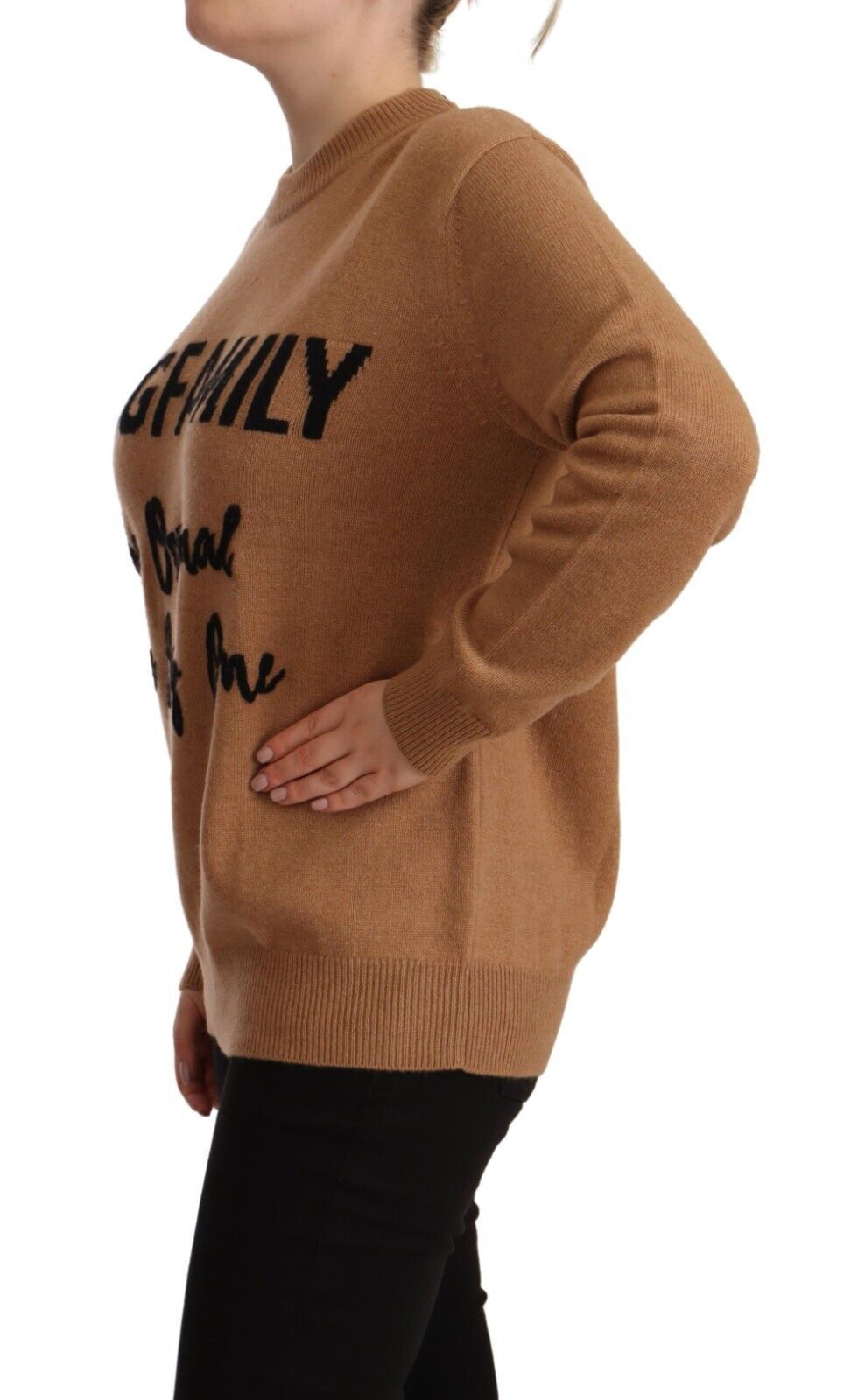 Dolce & Gabbana Chic Beige Cashmere Crewneck Sweater with #dgfamily Motive