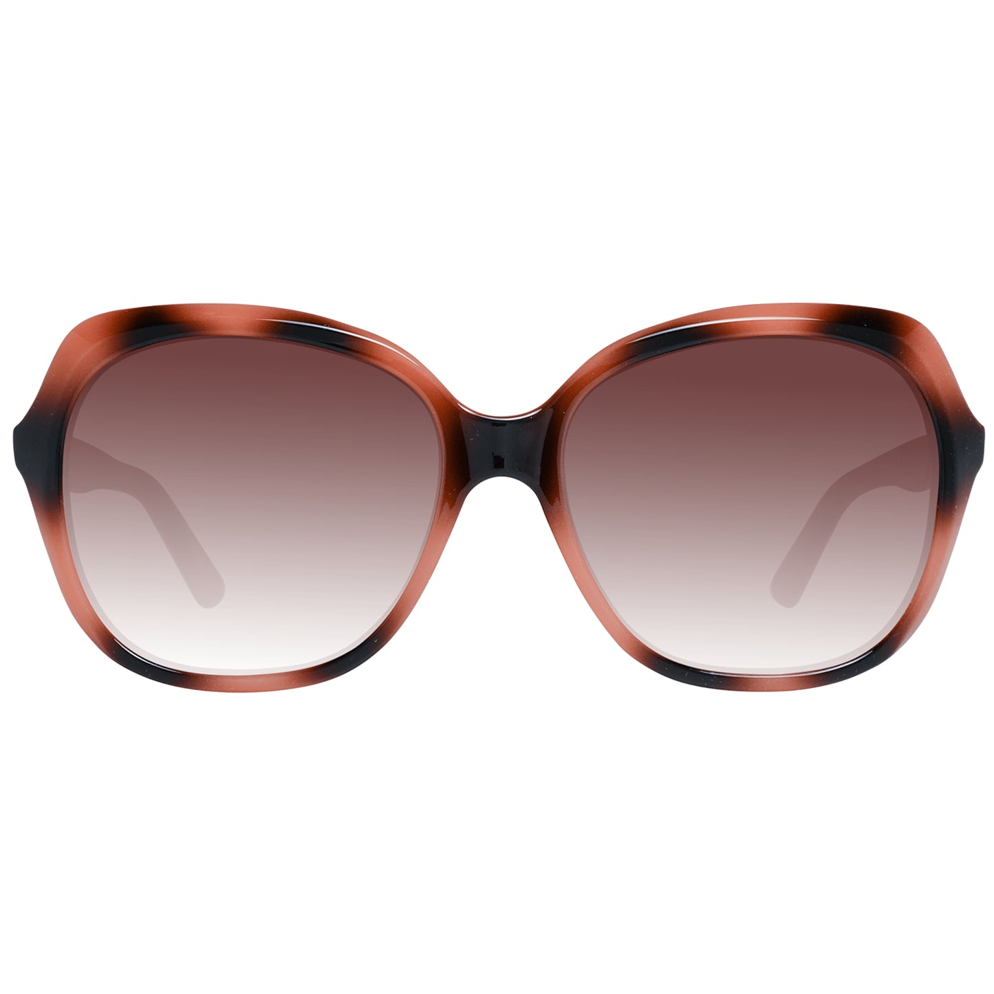 Ted Baker Brown Women Sunglasses