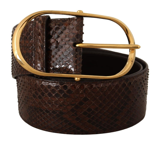 Dolce & Gabbana Elegant Python Leather Belt with Gold Buckle