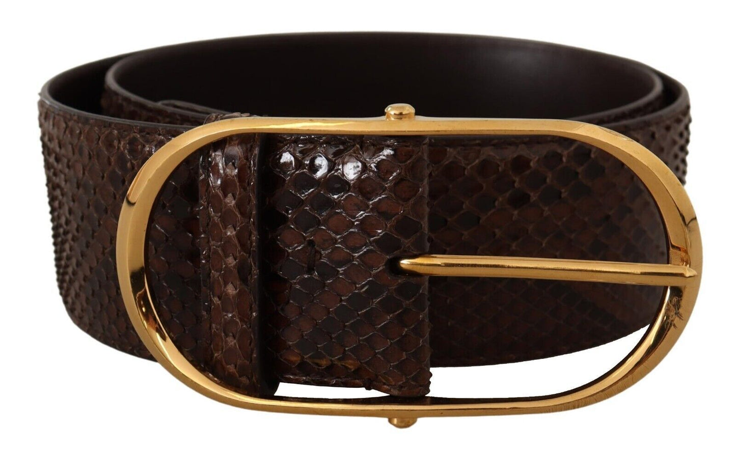 Dolce & Gabbana Elegant Python Leather Belt with Gold Buckle