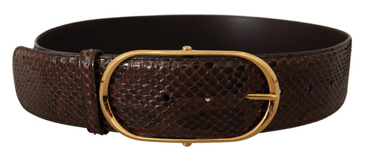 Dolce & Gabbana Elegant Python Leather Belt with Gold Buckle