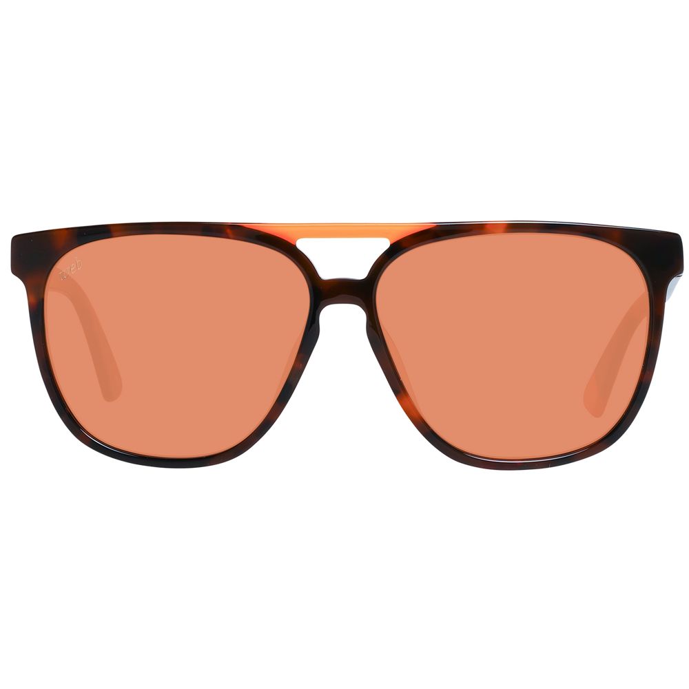 Web Brown Unisex Sunglasses