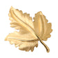 Dolce & Gabbana Gold Brass Leaf Embellished Women Brooch Pin