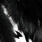 Dolce & Gabbana Black Fox Rooster Feathers Neck Warmer Scarf