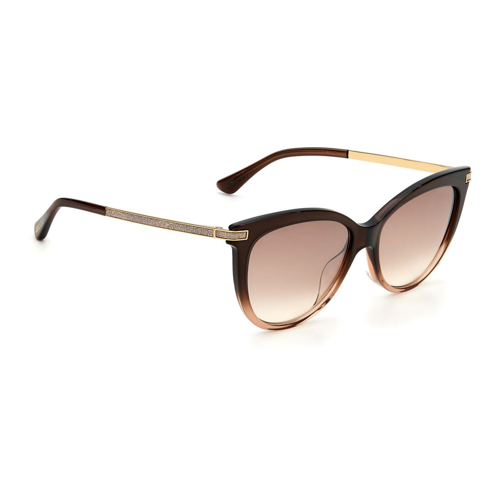 Jimmy Choo Brown Acetate Sunglasses