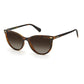 Polaroid Brown Resin Sunglasses