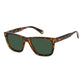 Polaroid Brown Resin Sunglasses