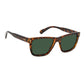 Polaroid Brown Resin Sunglasses