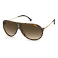 Carrera Brown Acetate Sunglasses