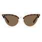 Polaroid Brown Stainless Steel Sunglasses