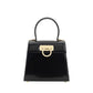 Salvatore Ferragamo Iconic Handbag